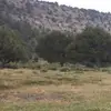 grahamvince - @grahamvince - TikTok