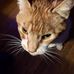 Vince Graham - Facebook
