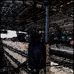 Vincent Graham - Facebook