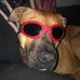 Vince Gray - Facebook