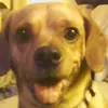 Vince Gregory - @vince.gregory - TikTok