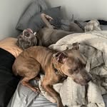 Vince Hand Sr. - @vince5052 - Instagram