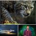 Vincent Hansen - Facebook