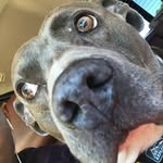 Vincent Harrison - @pacman_48 - Instagram