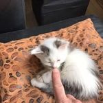 Vince Hess - @hess.vince - Instagram