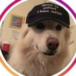 @vinceholmes69 - Instagram