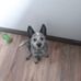 Vince Joyce - Facebook
