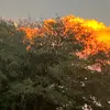 Vincent Joyce - @vincent.joyce - TikTok
