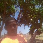 Vincent Kato - @vincent.kato.583 - Instagram