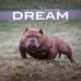Vince Kelly - Facebook