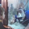Vince Kelly - @vince.kelly4 - TikTok