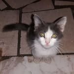 Vincenzo la Monica - @vincenzo.lamonica.7355 - Instagram