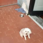 Vincenzo Lamonica - @vincenzo.lamonica.5891 - Instagram