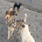 @vinceleon - Instagram