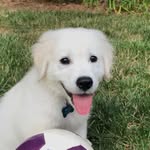 Vince miller - @vincemiller5 - Instagram