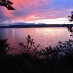 Vince Mitchell - @pnw_zen - Instagram