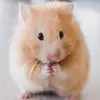 Vince Mitchell - @vincemitchell - TikTok
