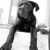 vincenzomorelli949 - @vincenzomorelli949 - TikTok