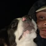 Vincent Morrison - @vincent_morrison - Instagram