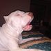Vince Patterson - Facebook