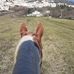 Vincenzo Persichetti - Facebook