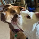Vince Porter - @cruisetech90 - Instagram