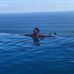 Vince Renda - Facebook