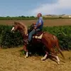 Vincenzo Renda - @vincenzo.renda4 - TikTok
