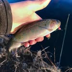 Rigley Vincent - @rjehv_onthefly - Instagram