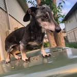Vince roper - @ttvgator813 - Instagram