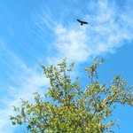 Vincenzo Rossi - @vincerossi.58 - Instagram