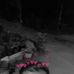 Vince Ryan - Facebook