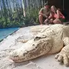 VPythonS - @vinceshelley - TikTok