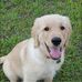 Vince Smallwood - Facebook