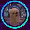 Vince son - @vince.son8 - TikTok