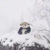 Vincesonnguyen0 - @vinceson7000 - TikTok