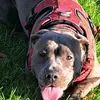 Terry vince77 - @terry.vince77 - TikTok
