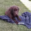 vinceterryn12345 - @vinceterryn12345 - TikTok
