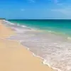 vincetesta - @vincetesta - TikTok