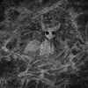 Vincent Vance - @vincent7886 - TikTok