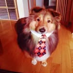 Vinny - @vince_vance01 - Instagram