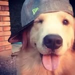 Vince Vicente - @vncjrdn - Instagram