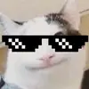 vincevicente - @vincevicente - TikTok