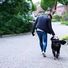 Vince Vu156 - @vincevu - TikTok