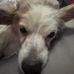 Vince Vu - Facebook