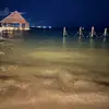 Vince Vu - @vince.vu7 - TikTok