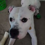 Vince Walker - @vvalker_talk - Instagram