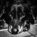 Vince Walters - Facebook