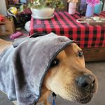 Vince Weaver - @vince.weaver.98 - Instagram