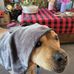 Vince Weaver - Facebook